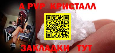 стаф Тверь