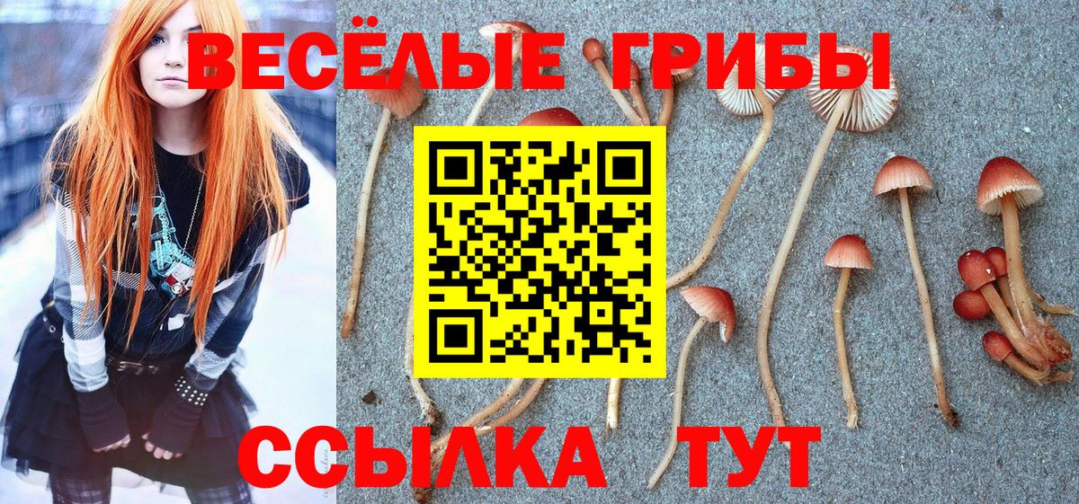 Псилоцибиновые грибы MAGIC MUSHROOMS Нефтеюганск