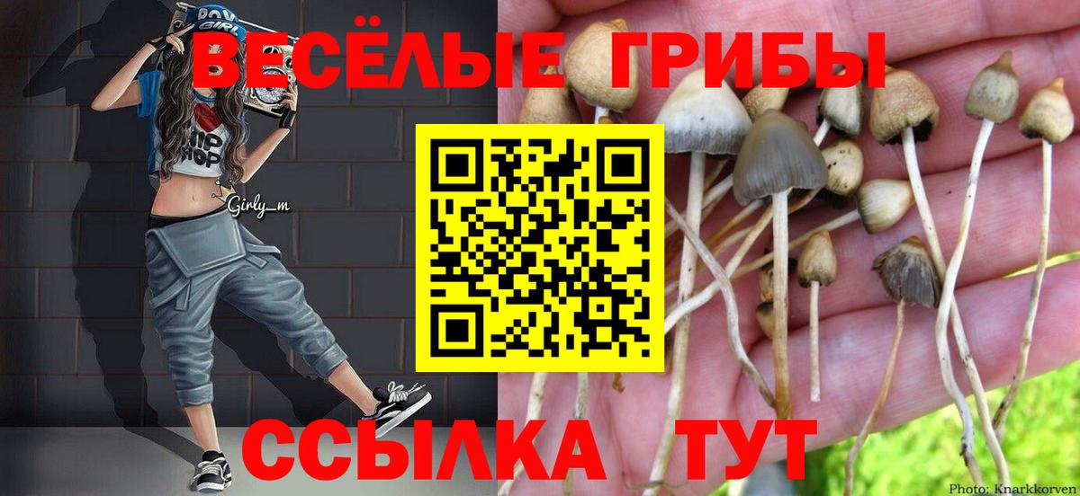 Нефтеюганск  Галлюциногенные грибы прущие грибы  Галлюциногенные грибы мухоморы  Вход с VPN 